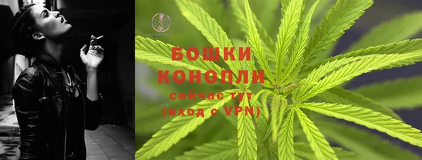 стаф Богородск